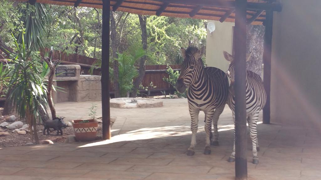 Marloth Kruger Little Manor Villa Marloth Park Exterior photo